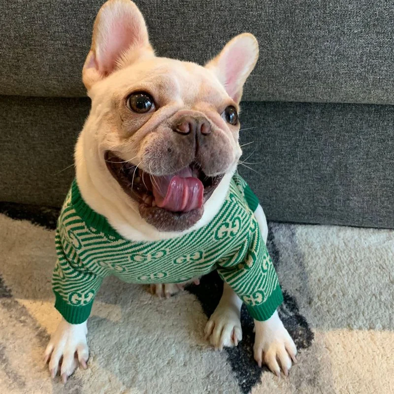 frenchie-space-shop-green-french-bulldog-sweater-3 frenchie space shop green french bulldog sweater