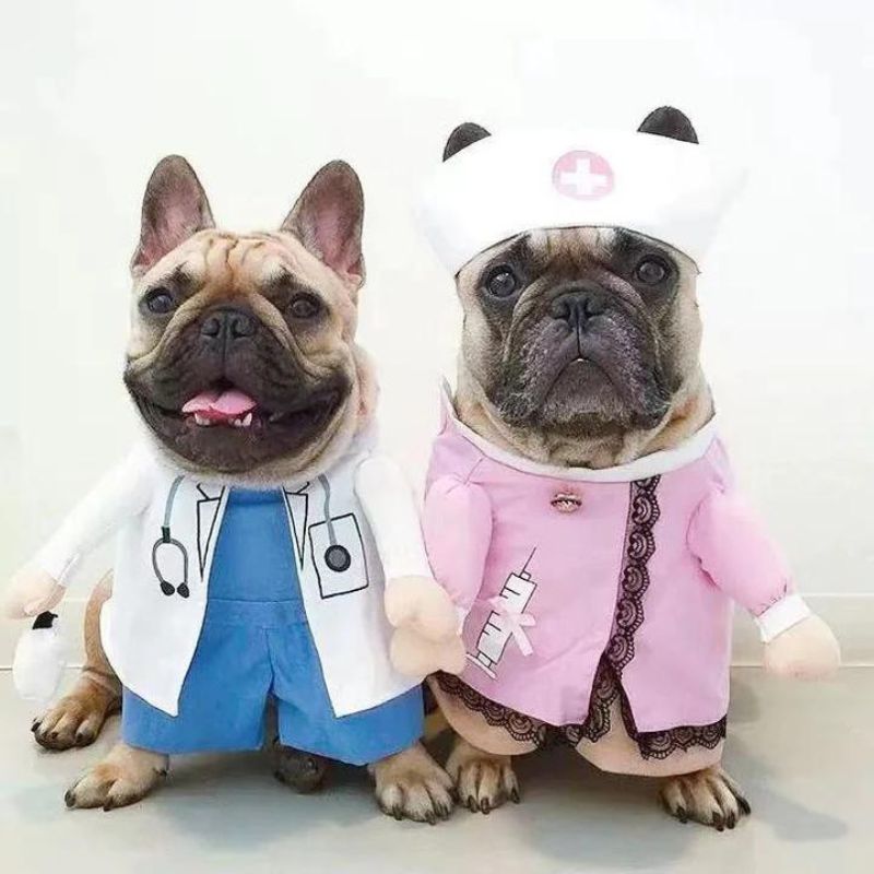 frenchie-space-shop-healthservice-french-bulldog-costume-1 frenchie space shop healthservice french bulldog costume