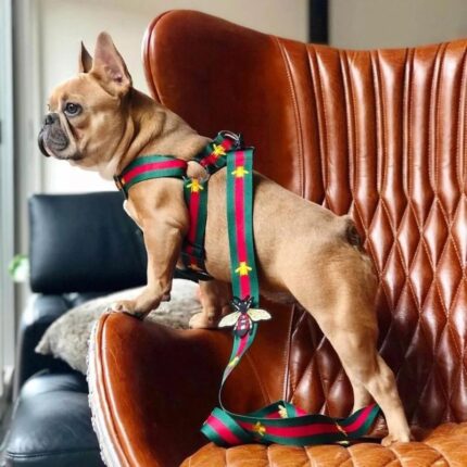 frenchie space shop italianstyle french bulldog harness