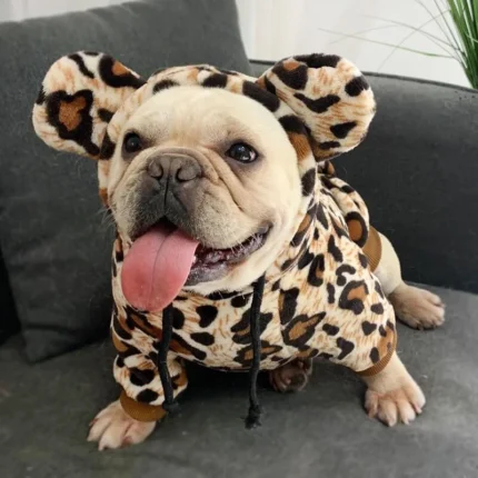 frenchie space shop leopard french bulldog hoodie
