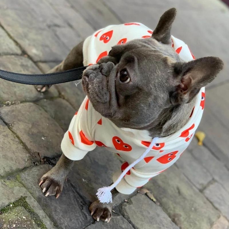 frenchie space shop lovelygremlin french bulldog hoodie