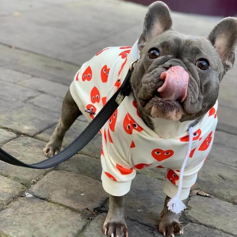 frenchie-space-shop-lovelygremlin-french-bulldog-hoodie-4 frenchie space shop lovelygremlin french bulldog hoodie