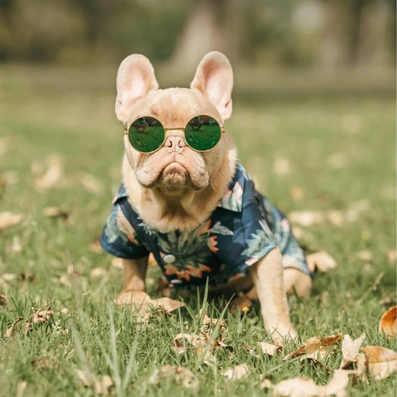 frenchie-space-shop-luau-french-bulldog-shirt-1 frenchie space shop luau french bulldog shirt