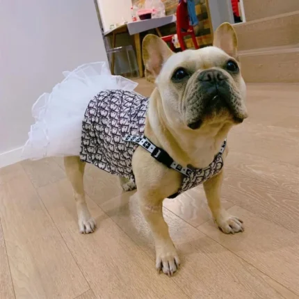 frenchie space shop luxury french bulldog dress