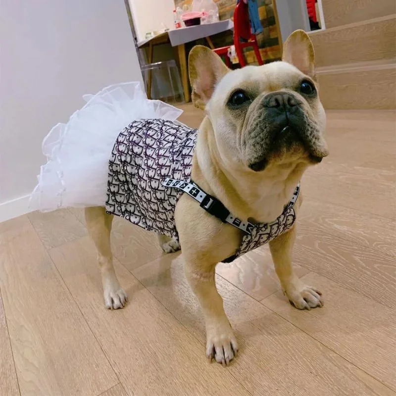 frenchie space shop luxury french bulldog dress