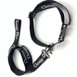 frenchie space shop luxury french bulldog harness