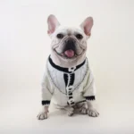 frenchie space shop mademoiselle french bulldog sweater
