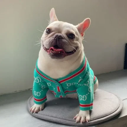 frenchie space shop mintgreen french bulldog cardigan