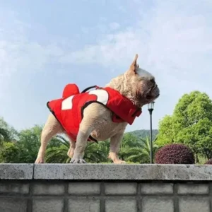 frenchie space shop nemo french bulldog life jacket