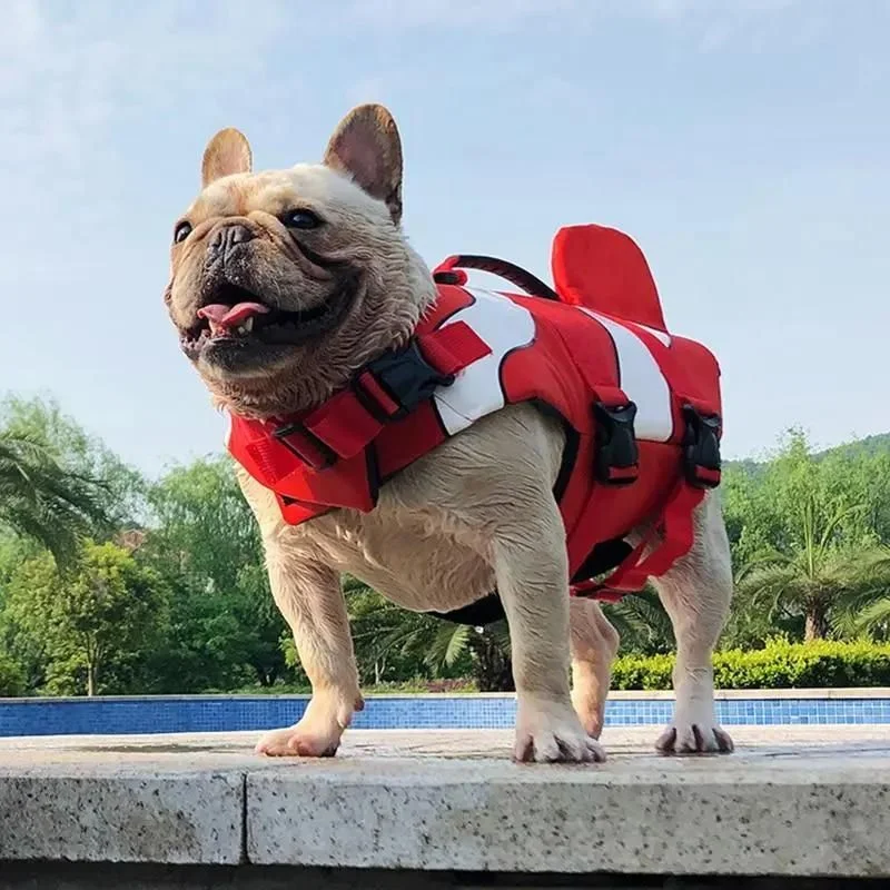 frenchie-space-shop-nemo-french-bulldog-life-jacket-3 frenchie space shop nemo french bulldog life jacket