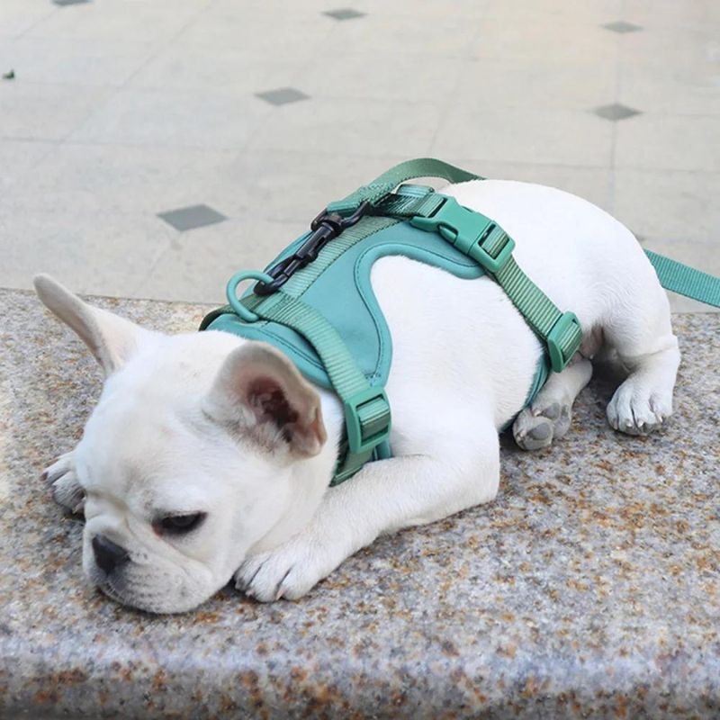 frenchie space shop no-pull french bulldog harness