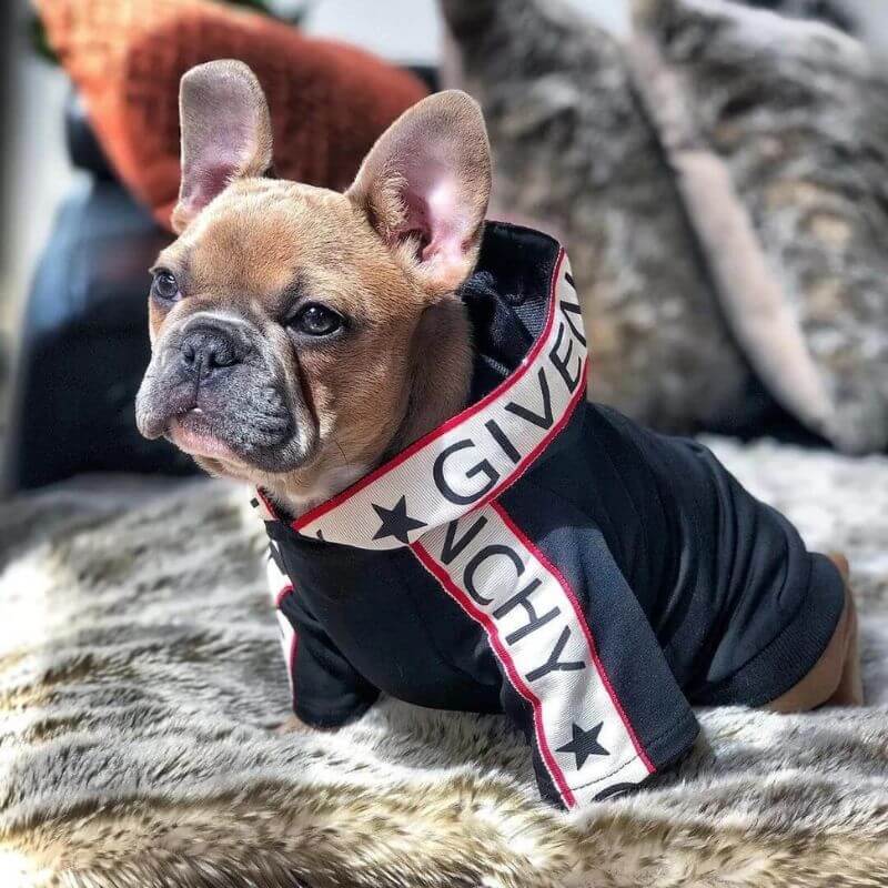 frenchie-space-shop-pawenchy-french-bulldog-hoodie-3 frenchie space shop pawenchy french bulldog hoodie