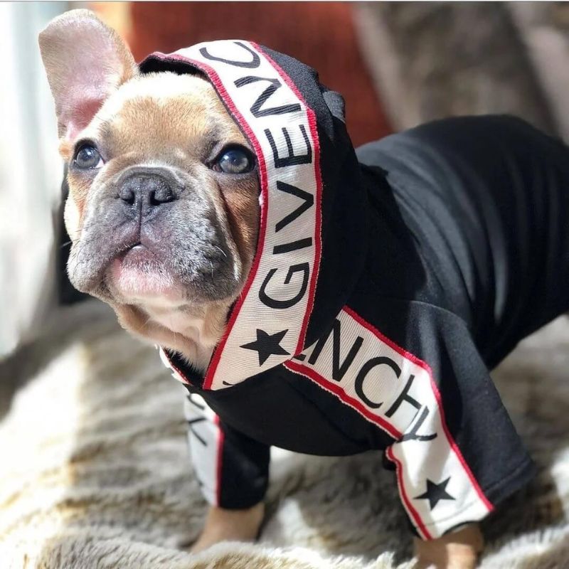 frenchie space shop pawenchy french bulldog hoodie