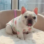 frenchie space shop peachypooch french bulldog sweater