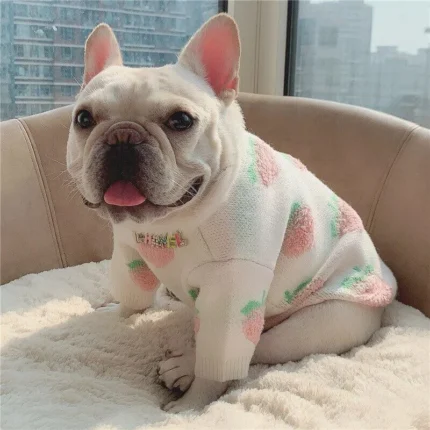 frenchie space shop peachypooch french bulldog sweater