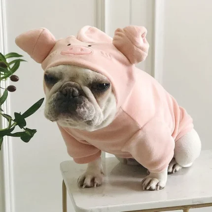 frenchie space shop piggy french bulldog hoodie