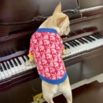 frenchie space shop pink&navy french bulldog sweater