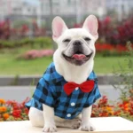 frenchie space shop plaid elegance frenchie shirt
