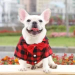 frenchie space shop plaid elegance frenchie shirt