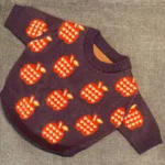 frenchie space shop pomme french bulldog sweater