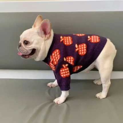 frenchie space shop pomme french bulldog sweater