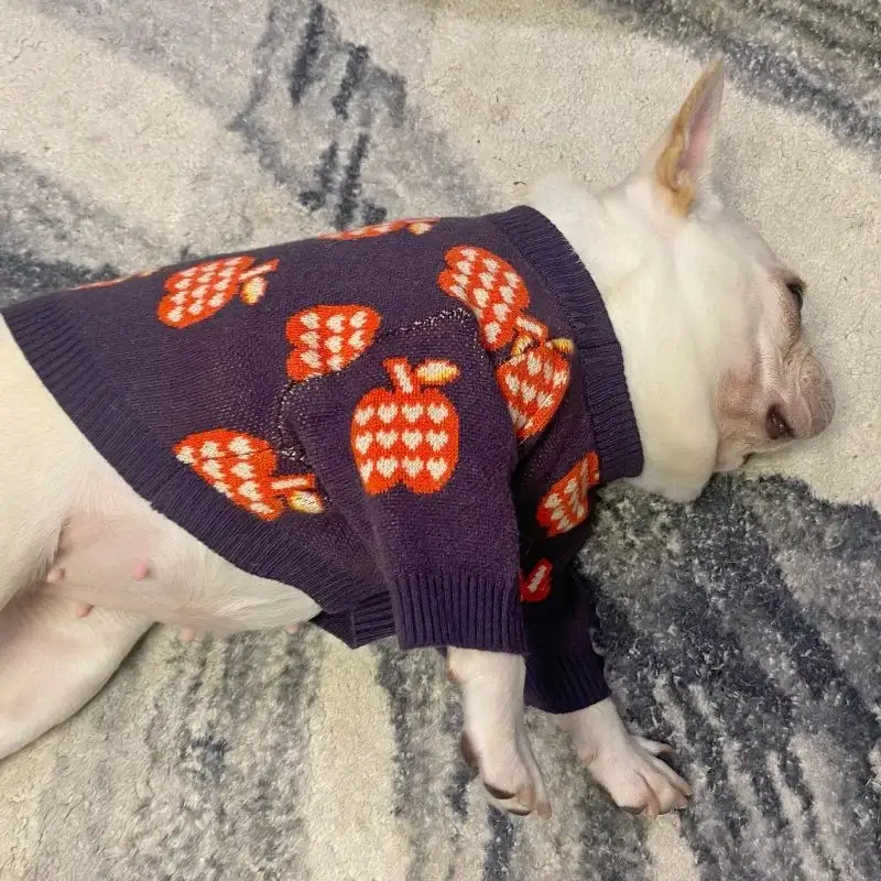 frenchie space shop pomme french bulldog sweater