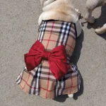 frenchie space shop posh french bulldog dress
