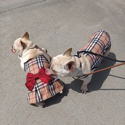 frenchie space shop posh french bulldog dress
