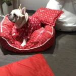 frenchie space shop pupreme french bulldog bed