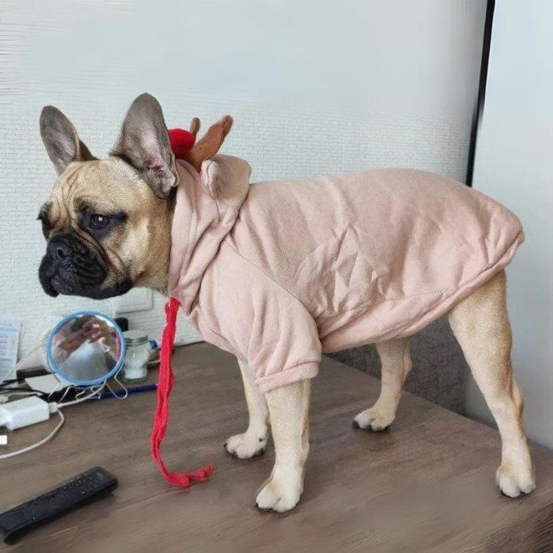 frenchie-space-shop-reindeer-french-bulldog-hoodie-5 frenchie space shop reindeer french bulldog hoodie