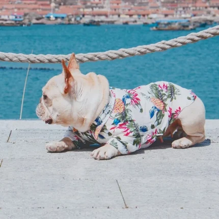 frenchie space shop seavibes french bulldog shirt