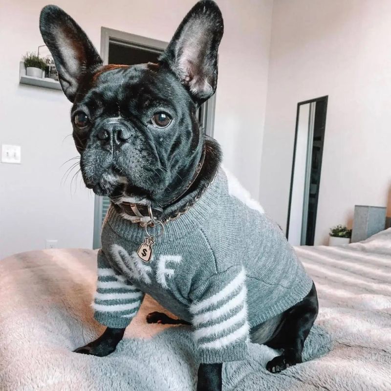 frenchie space shop ssilvervibe french bulldog sweater