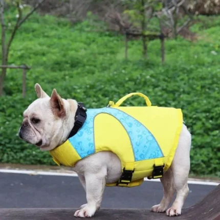 frenchie space shop splashy frenchie life jacket