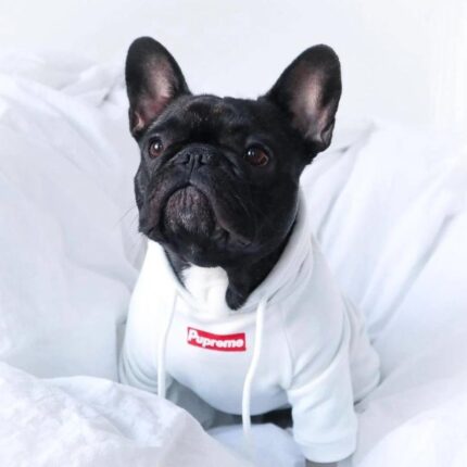 frenchie space shop streetstyle frenchie hoodie