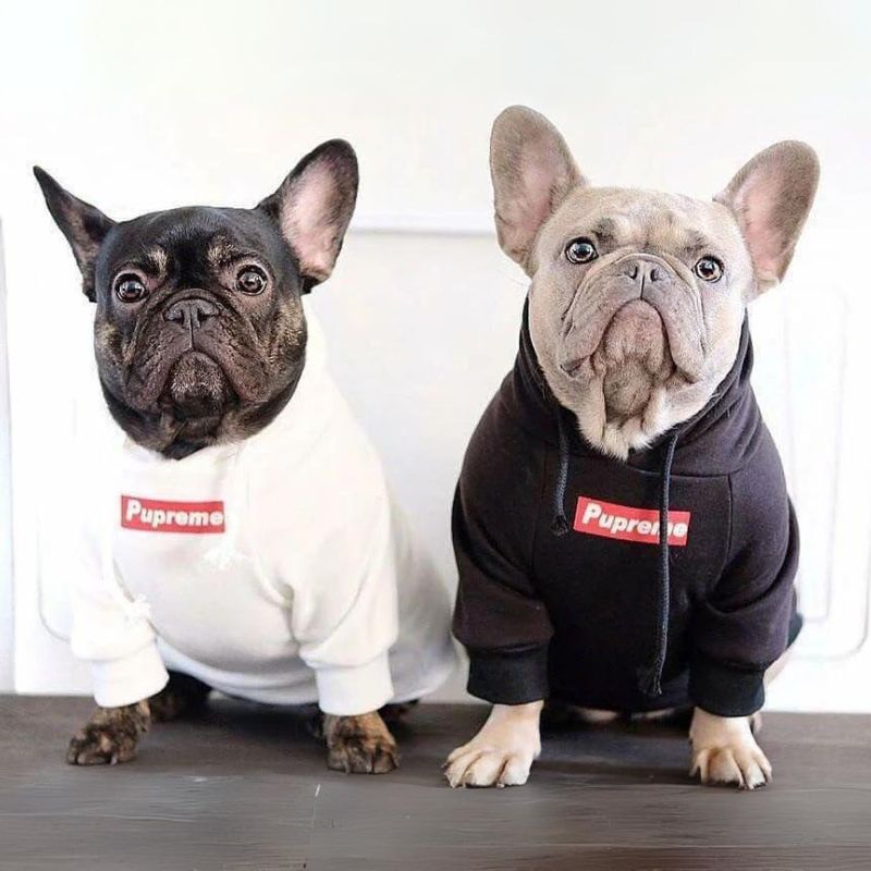 frenchie space shop streetstyle frenchie hoodie
