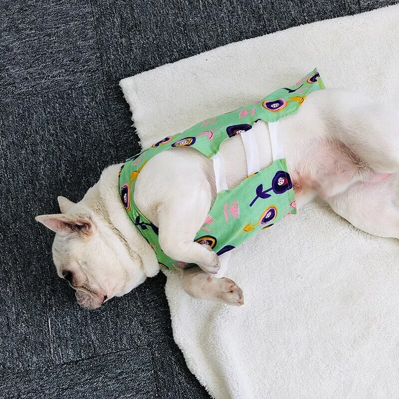 frenchie space shop summer cooling french bulldog vest