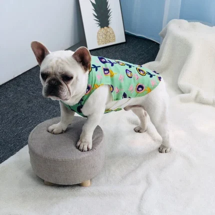 frenchie space shop summer cooling french bulldog vest