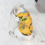 frenchie space shop summer cooling french bulldog vest