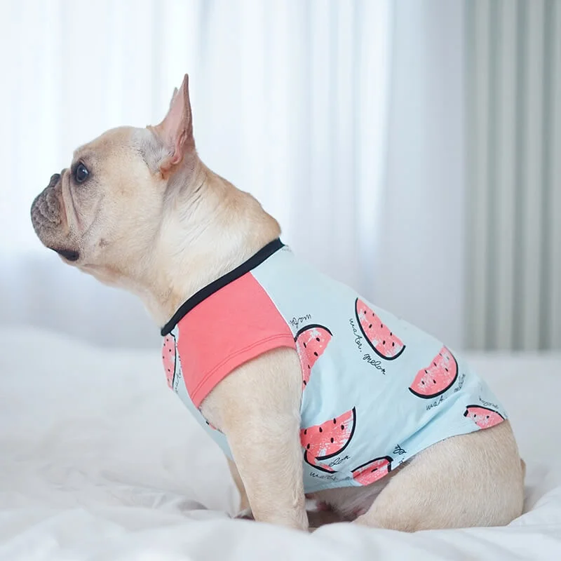 frenchie space shop summer slice frenchie top