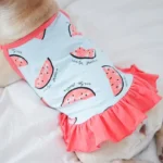 frenchie space shop summer slice frenchie top