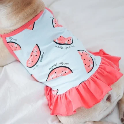 frenchie space shop summer slice frenchie top