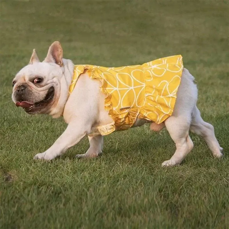 frenchie-space-shop-sunny-french-bulldog-dress-2 frenchie space shop sunny french bulldog dress