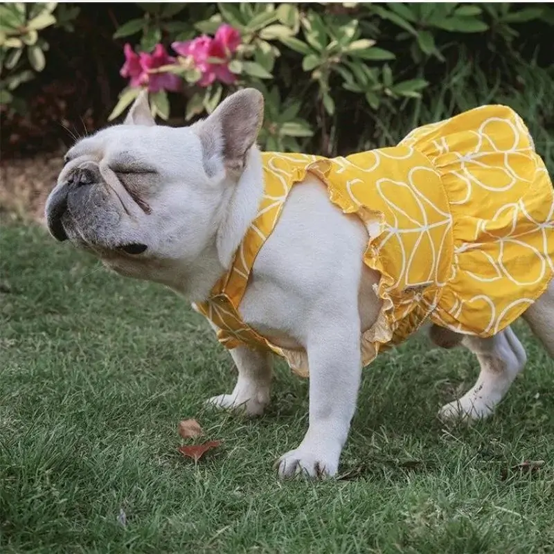 frenchie space shop sunny french bulldog dress