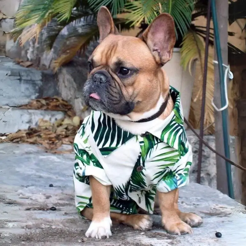 frenchie-space-shop-sunsea-french-bulldog-shirt-1 frenchie space shop sunsea french bulldog shirt