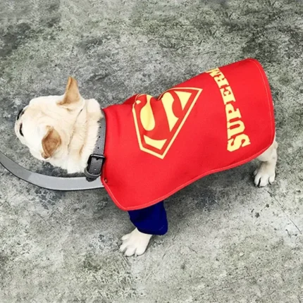 frenchie space shop super frenchie costume