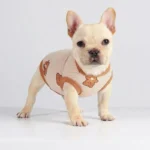 frenchie space shop teddy french bulldog vest