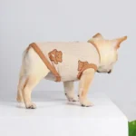 frenchie space shop teddy french bulldog vest