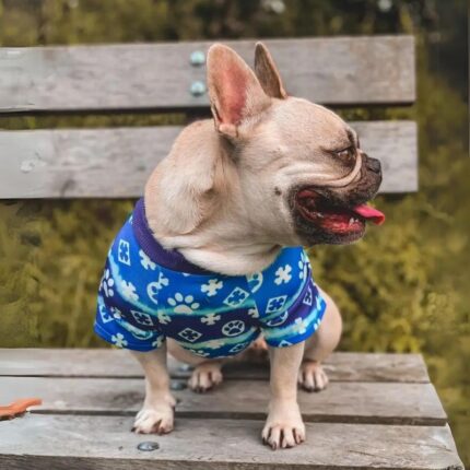 frenchie space shop tie-dye french bulldog sweatshirt