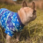 frenchie space shop tie-dye french bulldog sweatshirt