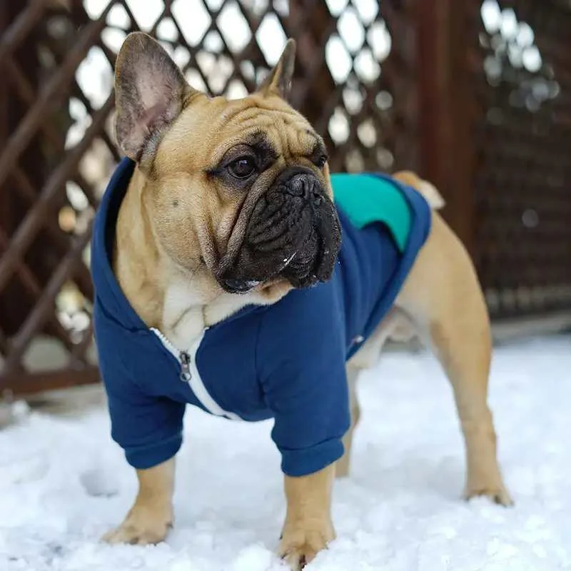 frenchie-space-shop-vanillasplash-french-bulldog-hoodie-3 frenchie space shop vanillasplash french bulldog hoodie